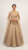 Cream fish cut gown in net fabric with heavy handwork, elegant butterfly sleeves, perfect engagement and party wear from Chandni Chowk Delhi