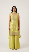 Olive green indo western outfit with mirror work Chandni Chowk festive wear for women