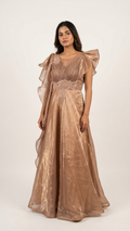 Wine brown sequin gown with heavy embroidery Chandni Chowk party wear for women